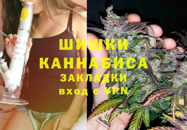 гашик Белоозёрский