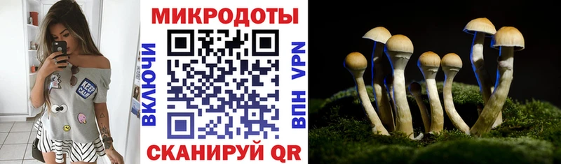 Галлюциногенные грибы мухоморы  Купить где  Старая Купавна 